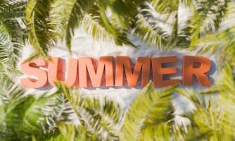 SUMMER Text on Sandy Beach Ground with Palm Leaves Around photo