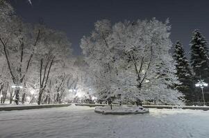 Winter city park photo