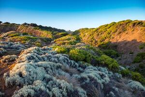 Flinders in the Mornington Peninsula, Victoria, Australia photo