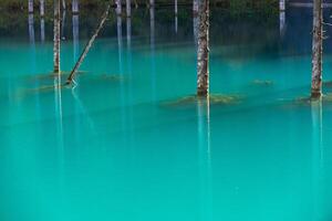 Kaindy lake in Tien-Shan mountains, Kazakhstan photo