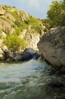 View of the mountain river photo