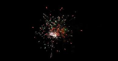 Color Firework in the night sky photo