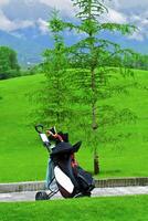 Game in the golf club against the background of the green juicy grass photo