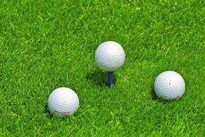 Game in the golf club against the background of the green juicy grass photo