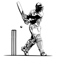 Cricket player silhouette icon design without background png