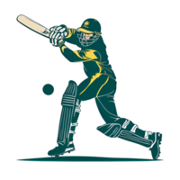 Cricket player silhouette icon design without background png