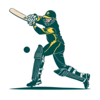 Kricket Spieler Silhouette Symbol Design ohne Hintergrund png