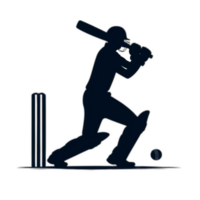 Kricket Spieler transparent Hintergrund Symbol png