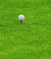juego en el golf club en contra el antecedentes de el verde jugoso césped foto