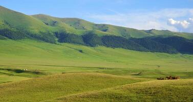 In mountains, near to Almaty. Valley Assy photo