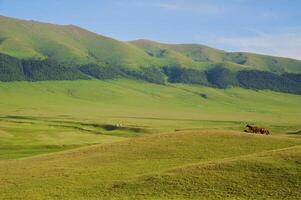 Assy Valley, Almaty Region photo