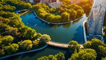 parque central en nueva york foto