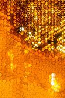 Close up studio shot of organic honey in a honey-comb. photo