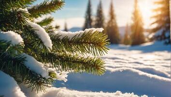 Navidad árbol rama, nieve foto