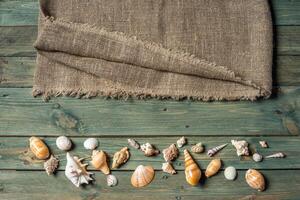 variedad de mar conchas en un de madera antecedentes foto