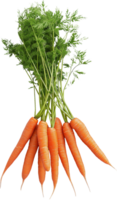 Fresh carrot with leaf isolated on a transparent background png