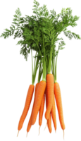 frisch Karotte mit Blatt isoliert auf ein transparent Hintergrund png
