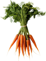 Fresh carrot with leaf isolated on a transparent background png