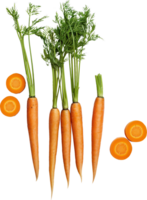 Fresh carrot with leaf isolated on a transparent background png