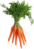 Fresh carrot with leaf isolated on a transparent background png