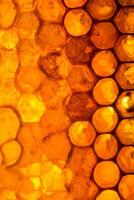 Honeycomb close up photo