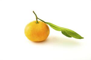 Ripe tangerines on the white background photo