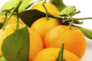 Ripe tangerines on the white background photo