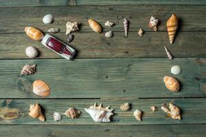 variety of sea shells on a wooden background photo
