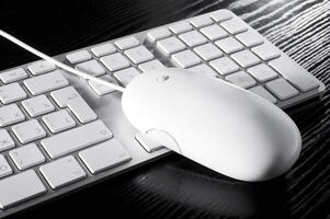 The white mouse and the keyboard for the computer photo