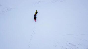 vôo sobre uma grupo do turistas com mochilas dentro a inverno montanhas. inverno escalada dentro a cárpato montanhas. Nevado árvore ramo dentro uma Visão do a inverno floresta. aéreo imagens de vídeo, 4k video