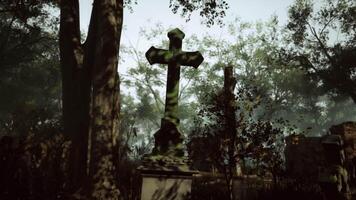 Cross Standing in Cemetery video