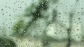 lluvioso temporada lluvioso atmósfera. agua de lluvia fluye en el ventana. , afuera, verde arboles aleteo espalda y adelante video