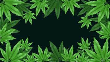 Botanical Cannabis Leaf Frame Background video