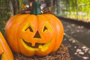 calabaza de halloween foto