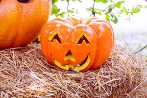 Halloween scary pumpkin photo