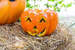 calabaza de halloween foto