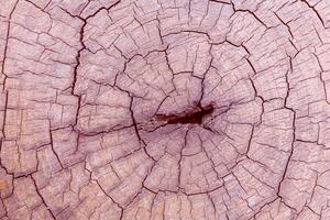 textura de madera vieja foto