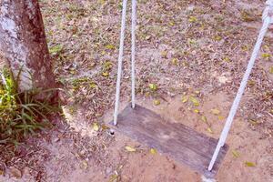 Old wooden tree swing photo