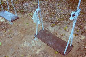 Old wooden tree swing photo