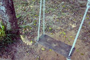 Old wooden tree swing photo