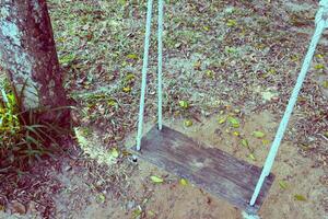 Old wooden tree swing photo