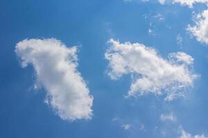 Blue sky with small clouds photo