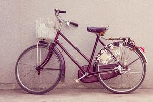 old bike ,bicycle photo