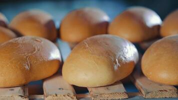 Rye bread on the shelves. Baked bread is cooled in the bakery after cooking. video