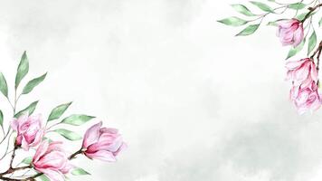 Aquarell Blätter Hintergrund und Magnolie Blumen Animation groing ziehen um minimal Dekoration botanisch ökologisch kosmetisch Hochzeit Einladung Frühling Sommer- Pflanzen video