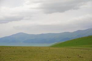 Assy Valley, Almaty Region photo