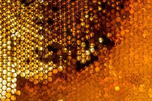 Studio Close-up of Honeycomb photo