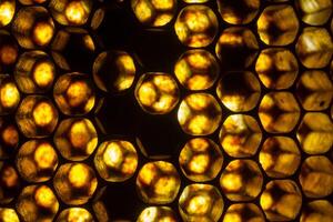 Studio Close-up of Honeycomb photo