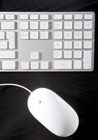 The white mouse and the keyboard for the computer photo