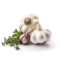 garlic isolated on white background, generate ai photo